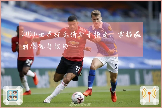 2026世界杯竞猜新手指南，掌握赢利思路与技巧