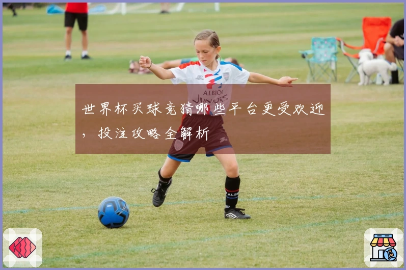 世界杯买球竞猜哪些平台更受欢迎，投注攻略全解析