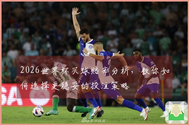 2026世界杯买球赔率分析，教你如何选择更稳妥的投注策略