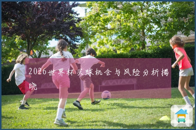 2026世界杯买球机会与风险分析揭晓