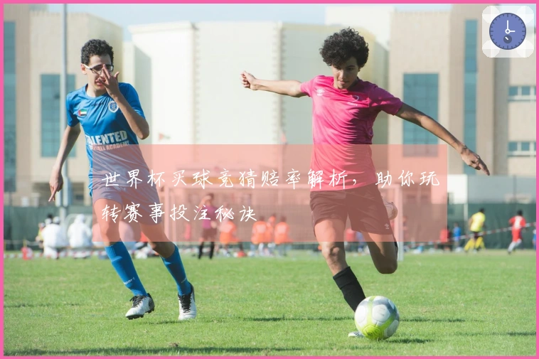 世界杯买球竞猜赔率解析，助你玩转赛事投注秘诀