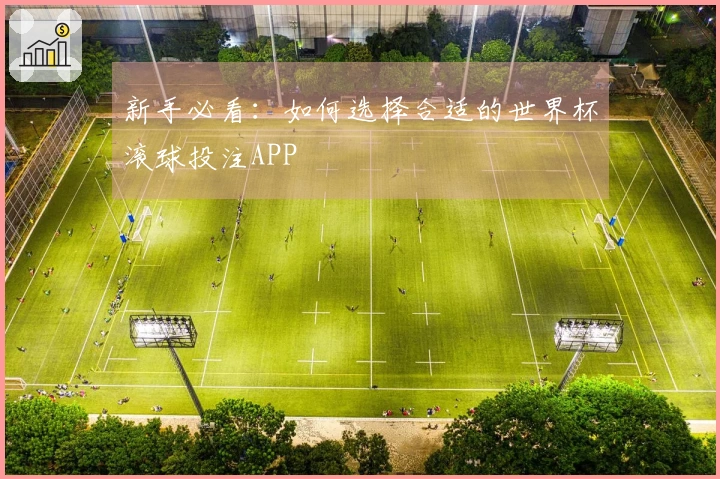 新手必看：如何选择合适的世界杯滚球投注APP