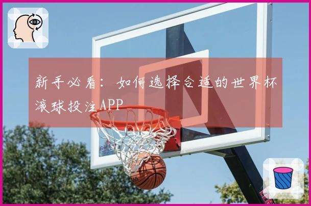 新手必看：如何选择合适的世界杯滚球投注APP